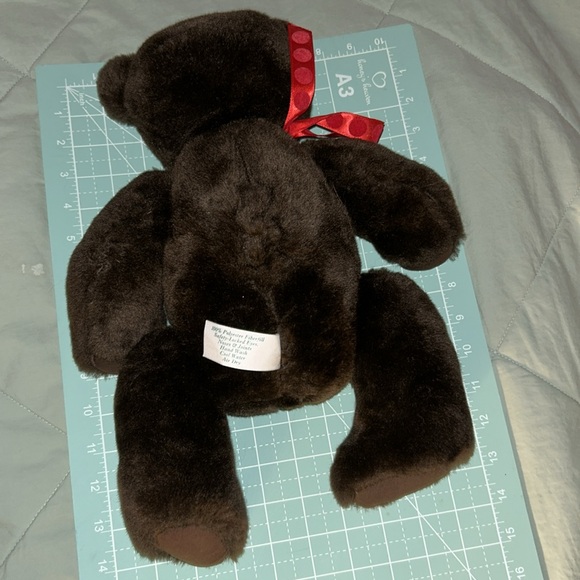 Bear made it n nh - Picture 5 of 5